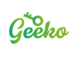 geekojoye website system